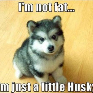 Meet your Posher, Steve